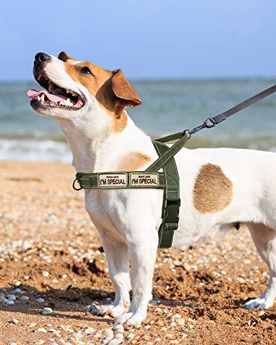 No Pull Dog Harness for Small Medium Large Sized Dogs, Escape Proof Adjustable Dog Harnesses with 2 Patch, Green Camo, M - color: Green Camo, size: M-Chest size 22-27.5''