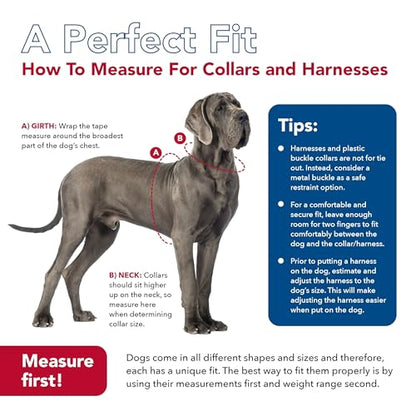 Coastal Pet - Pro - Reflective Adjustable Dog Collar, Bright Green with Grey, 3/4" x 10"-14" - color: Bright Green with Grey, size: 3/4" x 10"-14" (Pack of 1)