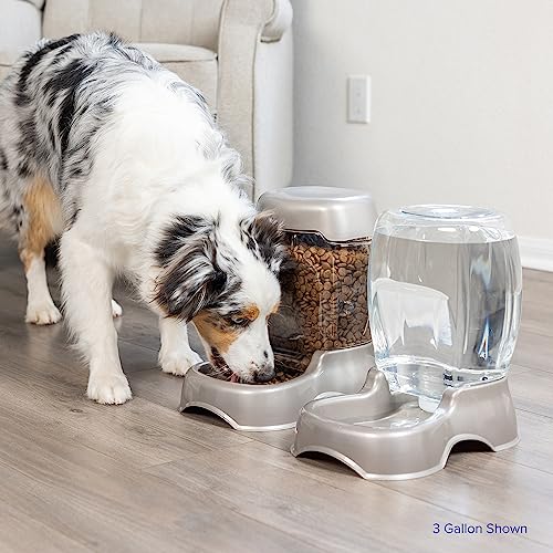 Petmate Pet Cafe Cat and Dog Water Dispenser - Water Bowl for Cats and Dogs, USA Made, 3 GAL, Pearl Tan - color: Pearl Tan, size: 3 GAL