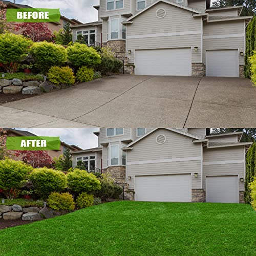 Premium Artificial Grass 3' x 10' Outdoor Rug, 1.38" Realistic Thick Turf for Garden, Yard, Fake Lawn, Dogs Synthetic Grass Mat, Rubber Backed with Drainage Holes, Customized Sizes - size: 3' x 10'