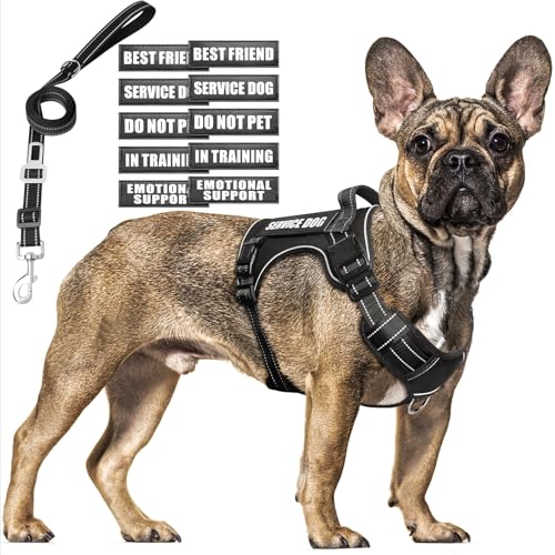 Tactical Dog Harness and Leash Set Medium Sized Dog,Heavy Duty No Pull Service Dog Vest and 10 Patches with Dog Seat Belt,Reflective Adjustable Pet Harness for Training Walking Hiking Black M - color: Black, size: Medium