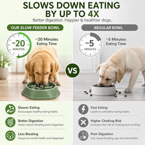 Slow Feeder Bowl for Small & Medium Cats & Dogs - Durable Slow Feeding Bowl with Non-Slip Base - Anti-Choking Puzzle Food Bowl for Dogs That Helps Mental Stimulation & Reduces Fast Eating-Green - color: Green