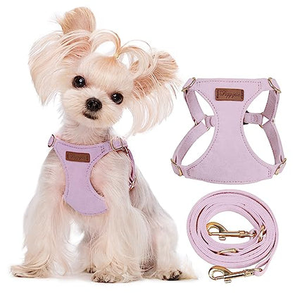 Puppytie No Pull XXS Puppy Harness with Multifunction Dog Leash,Soft Adjustable No Choke Escape Proof Pet Harness Vest,Light Purple,XXS - color: Purple, size: XXS(2.2-6lb）