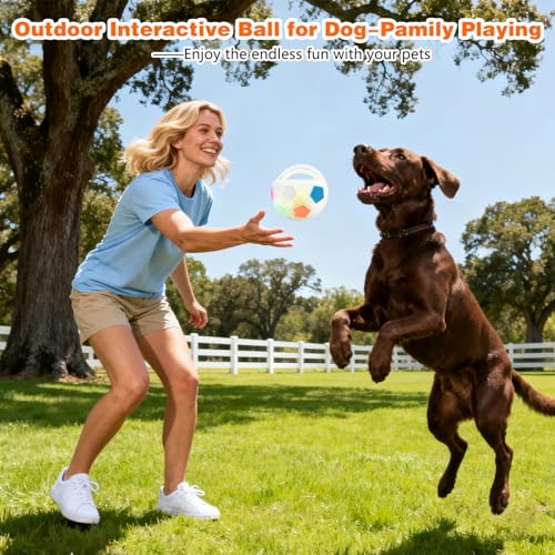 Dog Calming Ball with Handle, Interactive Ball for Pet Dogs Playing, Built-in Yellow Tennis Balls and Squeaky Sound for Small Medium Large Dogs (Clear with Tennis Balls Inside) - color: Clear with tennis balls inside