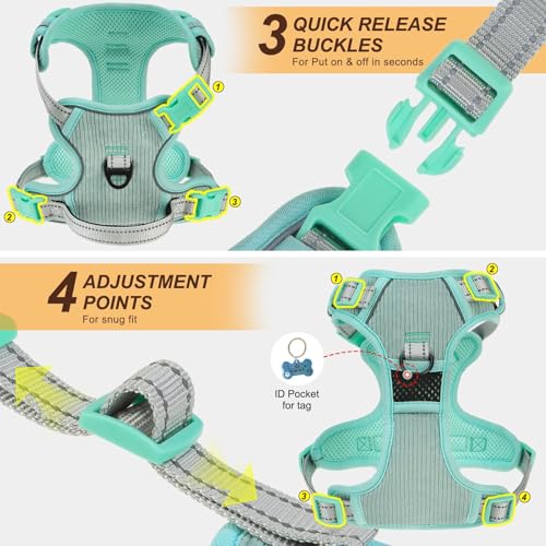 BEAUTYZOO No Pull Dog Harness, Adjustable Dog Harness and Leash Set -Easy Wearing with 3 Buckles/Control Handle,No Choke Soft Padded Reflective Pet Vest for Training Walking Hiking,Solid Aqua Blue S - color: Solid Aqua Blue, size: S: chest 14"-24"
