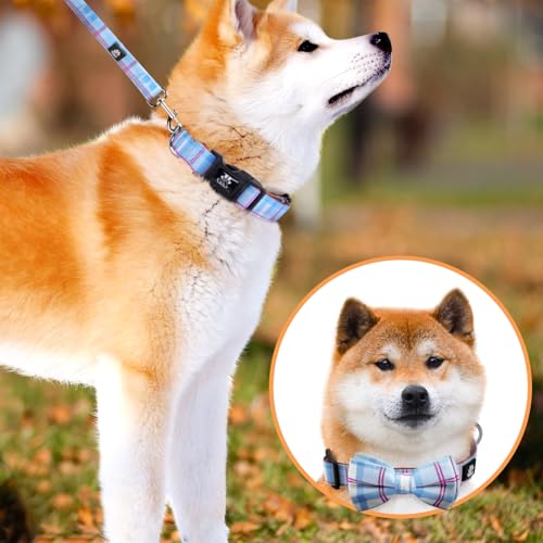 IVY&LANE Dog Collar with Bowtie and Leash Set | Plaid Adjustable Dog Collar | Detachable Bow Tie |5 FT Dog Leash | for Small Medium Large Dogs | Checkered Blue | Small - color: Checkered Blue, size: S