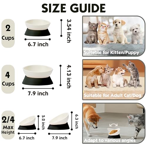French Bulldog Food Bowl- Slanted Tilted Pug Food Water Bowl,Cat Bowl- Feeder for Frenchie/Shih Tzu/Flat Faced Small Dogs/Puppies/Cats (Black, 2 Cup) - color: Black, size: 2 Cup