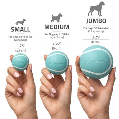 Playology Dog Toys | Squeaky Chew Ball for Dogs, Value 3-Pack | Peanut Butter Scented Small Dog Balls | Bouncy Floating Chew Toys for Fetch