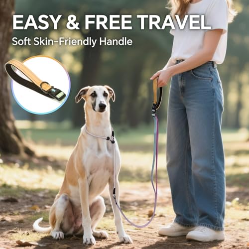 QQPETS Adjustable Slip Lead Dog Leash, Hands Free Waist Leash for Dog Walking, Reflective Training Lead with 360° Swivel Anti-Tangle, 4-7 ft Length for All Breeds - color: Color Gradient
