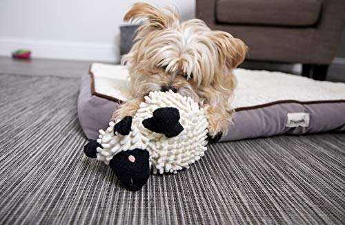 goDog Fuzzy Wuzzy Lamb Squeaky Plush Dog Toy, Chew Guard Technology - Assorted, Small - size: Small, style: Fuzzy Wuzzy Lamb