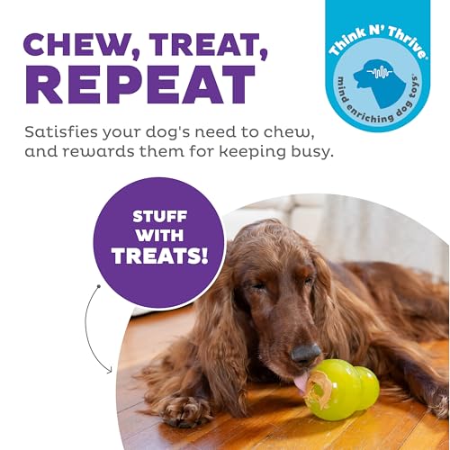 Outward Hound Double-Tuff Stuffable Dog Toy, Large 5-Inch Green - Treat Dispensing Chew Ball for Medium to Large Dogs, Interactive Puzzle for Enrichment & Slow Feeding - color: Double-Tuff Stuffable (Green)