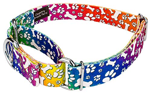 Country Brook Petz - Trippy Doggo Martingale Dog Collar - Groovy Collection Featuring Far Out Designs (1/2 Inch, 2XS) - color: Trippy Doggo, size: 2XS (Pack of 1)