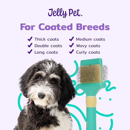 Jelly Pet Double Sided Dog Slicker Brush, Longer Pins, Flexible Head, Fine/Coarse Sides, Removes Unwanted Tangles, Large, Teal - size: Large