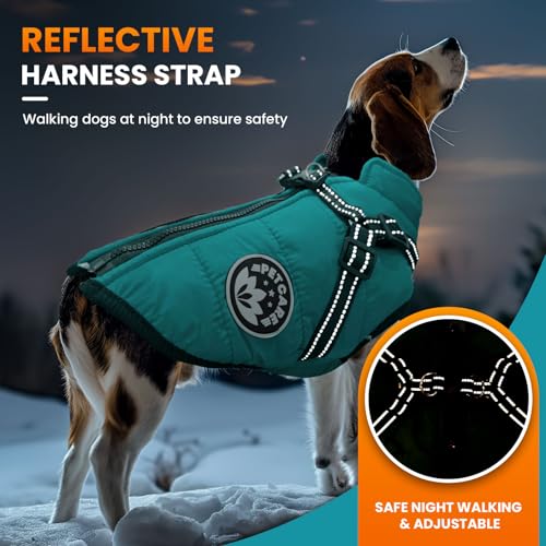 PETCARE Winter Dog Coat with Harness Built in Waterproof Dog Jackets Warm Pet Fleece Vest Windproof Snow Jacket Snowsuit Reflective Dogs Cold Weather Coats for Puppy Small Medium Large Dogs Cats - color: Blue, size: M(Chest 14.6" Suggest 4-7 lbs)
