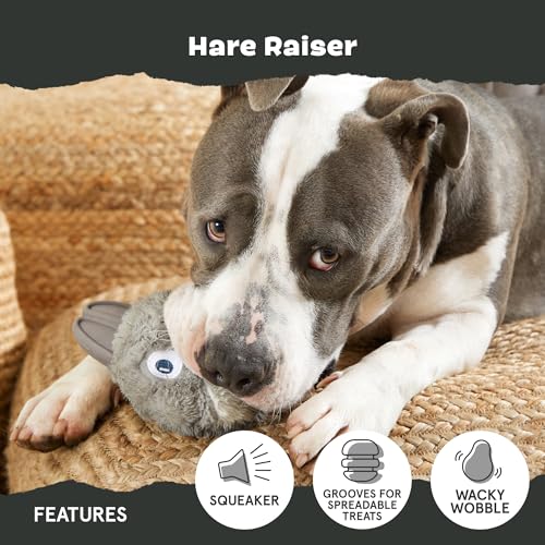 Barkbox Super Chewer Tough Dog Chew Toys for Aggressive Chewers, Plush 2 Toys in 1 (Hare Raiser - Large) - color: Hare - Large