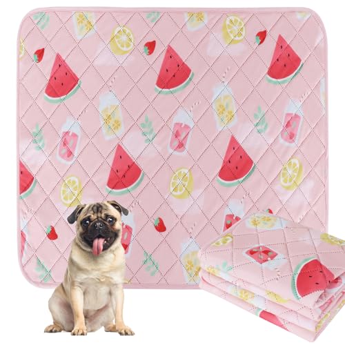 BVAGSS Washable Pee Pads for Dogs, 2 Pack Reusable Leakproof Puppy Wee Wee, Non-Slip Waterproof Pet Training, Super Absorbent Whelping XH081 (Watermelon, 24X24 Inch) - color: Watermelon, size: 24X24 Inch (Pack of 2)