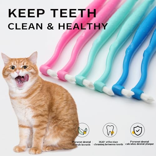 Dual Sided Cat Toothbrush Dog Toothbrush Finger Brush Micro Head, Suitable for Small to Large Dogs & Cats (White, Small) - color: White