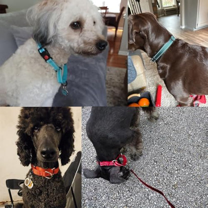 Martingale Collar with Buckle, Reflective Dog Choke Collar Escape Proof No Pull Cinch Dog Training Collars Adjustable for Small Medium Large Breed Pet Dogs,Hot Pink M - color: Hot Pink, size: M(Neck13.5-16")