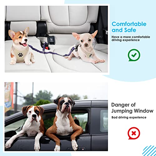 SlowTon Dog Seat Belt, Double Dog Seatbelt Adjustable Vehicle Safety Leash with Elastic Bungee Buffer, Reflective No Tangle Y Shape Two Dog Harness Seat Belt Splitter for Pets Car Trip (Purple, S) - color: H.Purple, size: 2 Small in 1