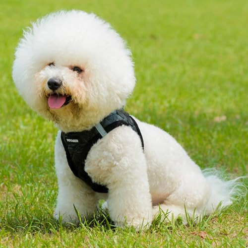 Voyager Step-In Plush Dog Harness – Soft Plush, Step In Vest Harness for Small and Medium Dogs by Best Pet Supplies - Harness (Black Faux Leather), M (Chest: 16 - 18") - color: Harness (Black Faux Leather), size: M (Chest: 16 - 18")