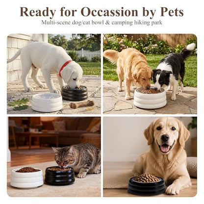 BOBO & BOWL Anti-Splash Pet Drinking Bowl with Floating Glass Disk (1.2L/40 oz), Food-Grade Ceramic Water Bowl for Small & Medium Dogs - Elevated, Heavy Sturdy, Dishwasher & Microwave Safe, White - color: White-with Floating Tray