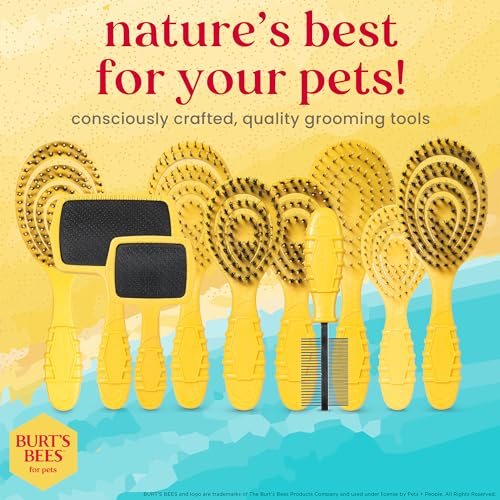 Burt's Bees for Pets Small Bristle Brush with Natural Boar’s Hair & Nylon | Handle Made from Recycled Plastics Collected from Coastal Communities | De-Shedding Eco Friendly Dog Grooming Brush - color: Plastic Bristle Brush, size: 7 Inch