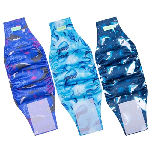 wegreeco Washable Male Dog Belly Band (Stylish Pattern)- Pack of 3 - Washable Male Dog Belly Wrap, Dog Diapers Male (Ocean Adventure, X-Small) - color: Ocean Adventure, size: X-Small (Pack of 3)