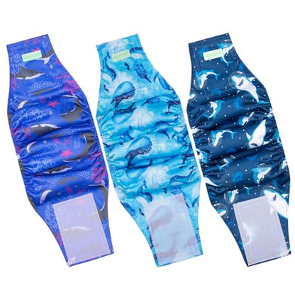 wegreeco Washable Male Dog Belly Band (Stylish Pattern)- Pack of 3 - Washable Male Dog Belly Wrap, Dog Diapers Male (Ocean Adventure, X-Small) - color: Ocean Adventure, size: X-Small (Pack of 3)