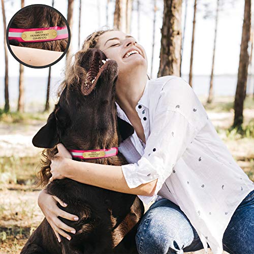 Regal Dog Products Medium Pink Reflective Dog Collar with Custom Engraved Name Plate and Heavy Duty Center Ring | Waterproof Biothane Personalized Dog Collars - Other Sizes for Small & Large Dogs - color: Pink, size: Medium