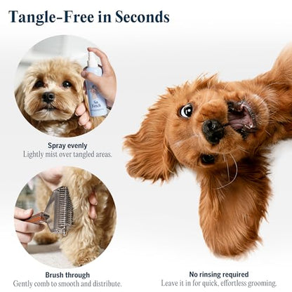 FlyDog Detangler Combo for Dogs & Cats – Leave-in Hair Detangler Spray for Tangle-Free Grooming & Tailored Comb for Dematting & Deshedding | Coat Conditioner | Deodorizing & Long-Lasting Freshness