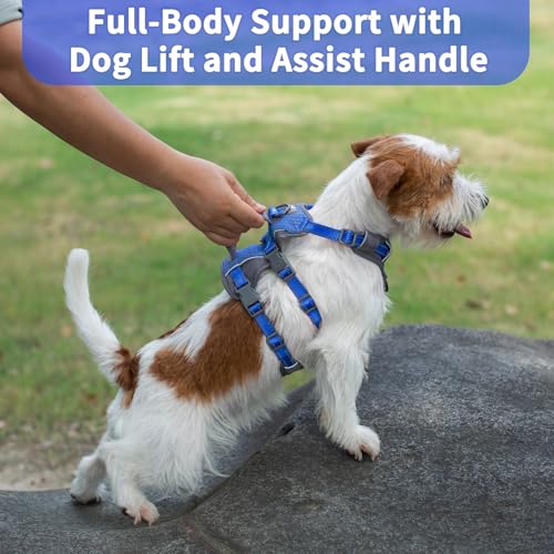 Huntboo Reflective Dog Harness with Handle, Escape Proof, No Slip, Breathable, Lightweight, Adjustable Lift Harness for Small, Medium, and Large Dogs Walking, Training, and Running Gear(Sea Blue,XS) - color: Sea Blue, size: X-Small(Pack of 1)