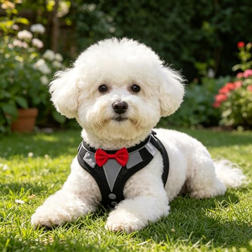 PUPTECK Dog Harness and Leash Set for Small Medium Dogs No Pull Step-in Soft Mesh Puppy Cat Vest Harnesses Reflective at Night, Black Bow Tie - color: #3 Black(Bow Tie), size: M(CHEST 16"-18", 11-18 lbs)