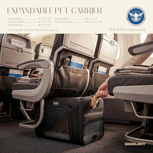 Top-Expandable Pet Carrier with Treat & Pet Window,18x13x9.5 Inch Southwest Frontier Airline Approved,Soft-Sided Dog Carrier for Small Dogs and Cats,Travel Cat Carrier with Locking Safety Zippers - color: Black, size: 18.0"L x 13.5"W x 9.5"H