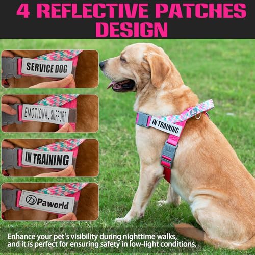 Service Dog Harness and Leash Set, No-Pull Service Dog Vest with 4 PCS Reflective Patches, Dog Vest Harness with Handle, Pet Harness for Small Medium Large Dogs in Training (Pink, S) - color: Pink (Leash + Harness + 4 Patches), size: Small (Chest: 19-25")