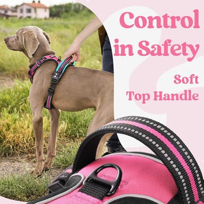 rabbitgoo Dog Harness Small Sized, No Pull Easy On & Off with 3 Buckles Pet Harness, Adjustable Soft Walking Vest with 2 Clips and Handle, Reflective for Small Dogs, Rose Pink, S - color: Rose Pink, size: Small