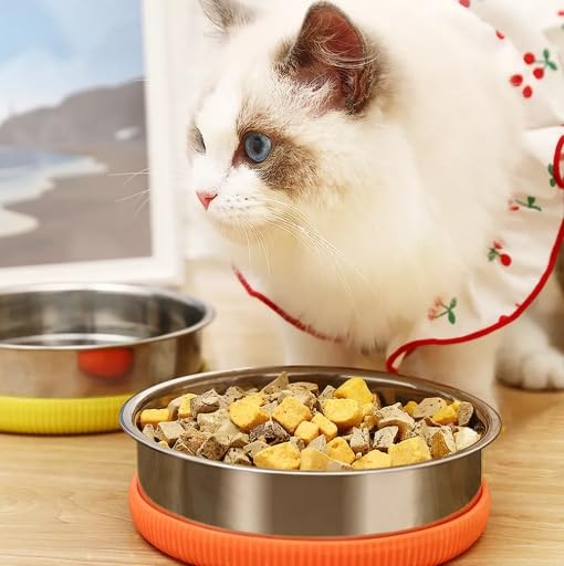 Anti-Slip Stainless Steel Pet Bowl for Dogs & Cats, Yellow