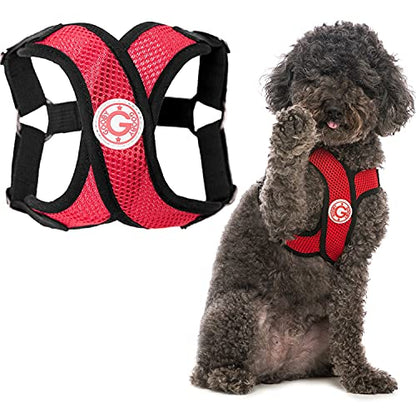 Gooby - Comfort X Step-in Harness, Choke Free Small Dog Harness with Micro Suede Trimming and Patented X Frame, Red, Small - color: Red, size: Small