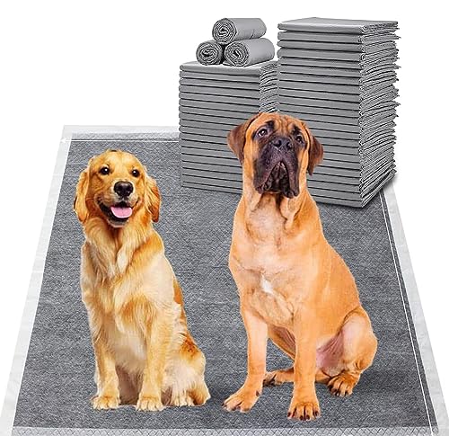 BinetGo Disposable Pee Pads for Dogs, 35 Count 30" x 36" XX-Large Wee Wee Pads for Dogs, Extra Absorbent Puppy Pads, Pet Training Pads for Dog, Charcoal Puppy Pee Pad for Indoors - size: XXL - 30" X 36"