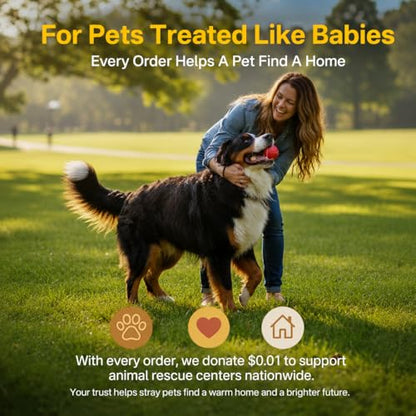 2PCS Dog Brush for Shedding, Slicker Brush for Dogs and Pet Detangling Metal Comb Set, Dog Grooming Supplies for Long Haired Pets, Poodles, Thick Fur, Deshedding Rake Tool - size: 2-in-1 Set