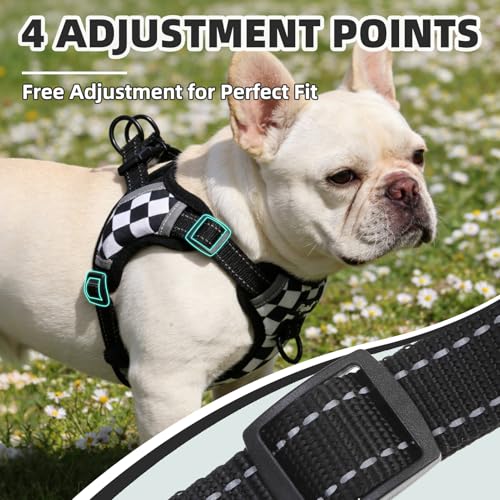 PUPTECK Dog Harness Small Sized Dog, Step in Adjustable Reflective Dog Vest Harness Escape Proof, No Pull Soft Padded Harness Easy Control, Checkered, M - color: Black&White(Checkered), size: M (CHEST: 14.5"-20")