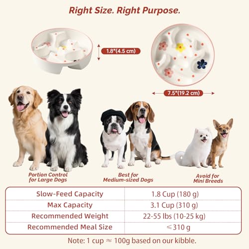 Ceramic Slow Feeder Dog Bowl - Portion Control Feeding Bowl for Medium Dogs – Cute Maze Food Dish for Fast Eaters - 3.1 Cups (310 g) - Doodle Series (Petal)