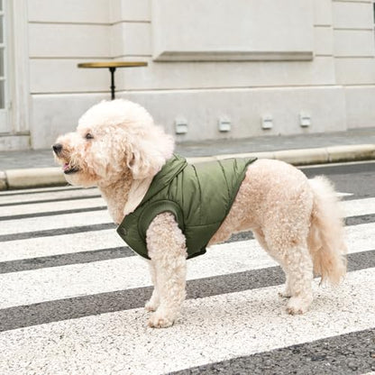 Vecomfy Fleece Lining Extra Warm Dog Hoodie in Winter,Small Dog Jacket Puppy Coats with Hooded Green XS - color: Green, size: X-Small (Pack of 1)
