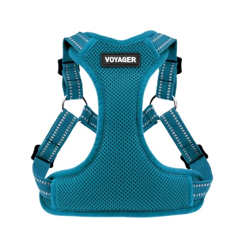 Best Pet Supplies Voyager Adjustable Step-in Flex Breathable Mesh Dog Harness for Small Medium Large Dogs (Turquoise), M - color: Harness (Turquoise), size: M
