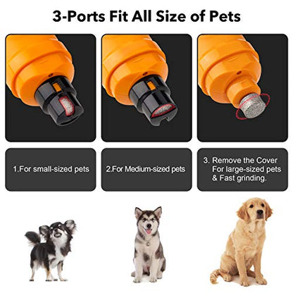 Casfuy Dog Nail Grinder with 2 LED Light - New Version 2-Speed Powerful Electric Pet Nail Trimmer Professional Quiet Painless Paws Grooming & Smoothing for Small Medium Large Dogs and Cats (Orange) - color: A-Orange