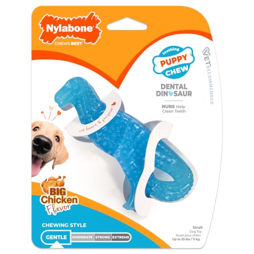 Nylabone Dental Dinosaur Puppy Power Chew Toy, Soothing Puppy Teething Bone, Enrichment Toy for Puppies, Chicken Flavor, Small Dogs - Up to 25 lbs., 1 Count - color: Dinosaur