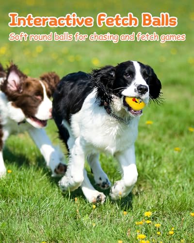 Squeaky Dog Toys, Interactive Soft Plush Puppy Toy Balls for Small Medium Breed, Cute Stuffed Pet Teething Ball Pack to Keep Dogs Busy - size: Small