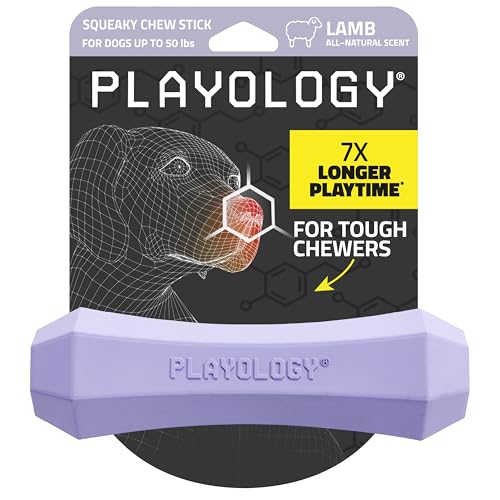Playology Dog Toys | Squeaky Chew Stick for Dogs | Lamb Scented Medium Fetch Toy | Squeaky Dog Chew Toy - size: Medium, style: Lamb