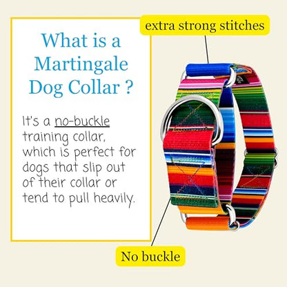 Country Brook Petz - HossFit Jr Wide Martingale Dog Collar - Country and Western Collection Featuring Rustic Designs (Serape, Large) - color: Serape, size: Large (Pack of 1)