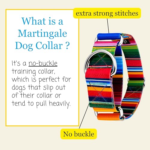 Country Brook Petz - HossFit Jr Wide Martingale Dog Collar - Country and Western Collection Featuring Rustic Designs (Serape, Extra Large) - color: Serape, size: Extra Large (Pack of 1)