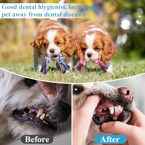 48 Pcs Dog Rope Toys Bulk for Medium and Small Dogs, Multi Color Dental Cotton Puppy Teething Toys 2 Knot Indestructible Chew Tug of War Dog Toys for Aggressive Chewers Supplies